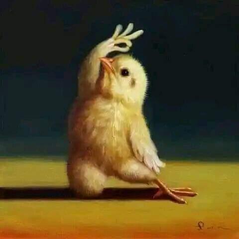أعلاف الجودي 